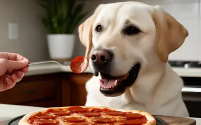 Cães Podem Comer Calabresa? Descubra Por Que Evitar Esse Alimento