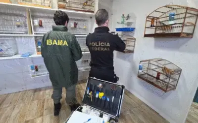 PF desmantela esquema internacional de tráfico de animais