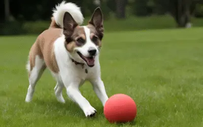 Quanto Tempo de Brincadeira os Cães Precisam? Guia Completo para Todas as Idades
