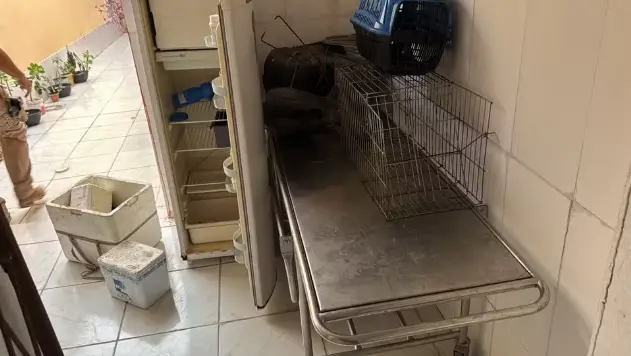 Suspeitos de realizar cirurgias ilegais em animais são presos em Teresina Suspeitos de realizar cirurgias ilegais em animais são presos em Teresina