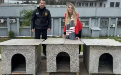 A emocionante história por trás das casinhas entregues a um abrigo de animais
