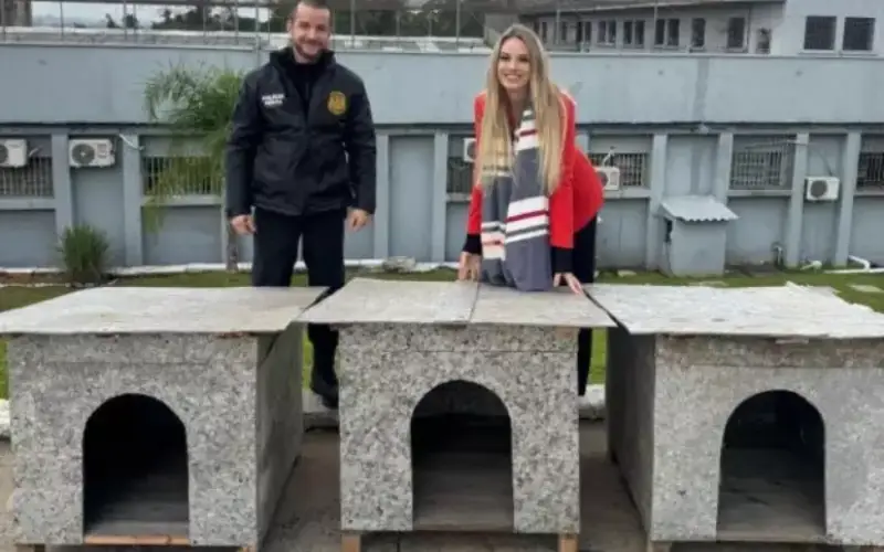 A emocionante história por trás das casinhas entregues a um abrigo de animais Foto: Janaína Poletto/ Ascom da Prefeitura de Santa Cruz do Sul / Porto Alegre 24 horas