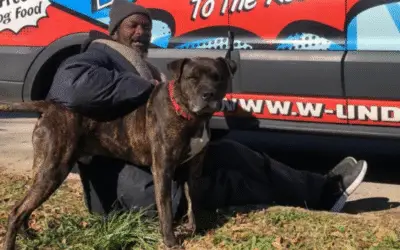 Morador de rua arrisca a vida e salva cães e gatos