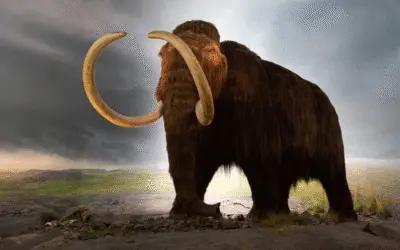 10 Animais Extintos que a Ciência Poderia Ressuscitar
