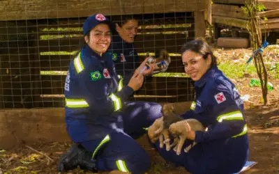 Mais de 160 Animais Recebem Cuidados Veterinários em Comunidades Indígenas no Paraná