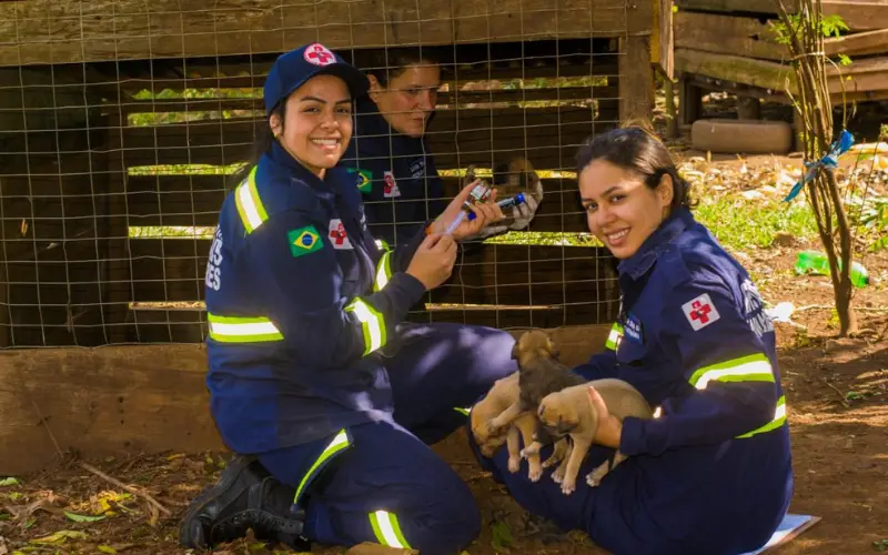 Mais de 160 Animais Recebem Cuidados Veterinários em Comunidades Indígenas no Paraná Mais de 160 Animais Recebem Cuidados Veterinários em Comunidades Indígenas no Paraná