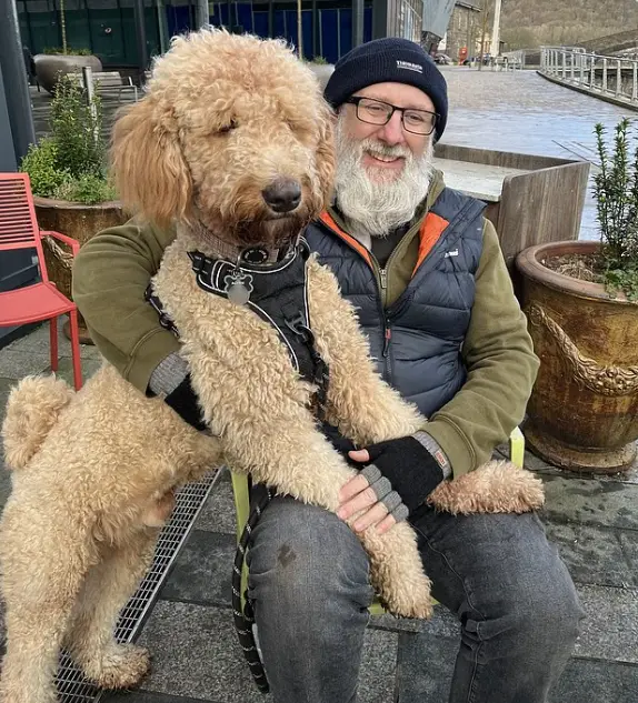 Casal Adota Filhote Pensando Ser um Cockapoo, Mas Descobre Que Era um Cão de 45 Kg Casal Adota Filhote Pensando Ser um Cockapoo, Mas Descobre Que Era um Cão de 45 Kg