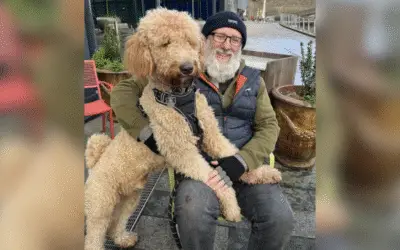 Casal Adota Filhote Pensando Ser um Cockapoo, Mas Descobre Que Era um Cão de 45 Kg