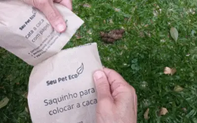Consciência na Ponta da Guia: Produtos Eco-Friendly e o Descarte Correto de Resíduos Pet Ganham Destaque