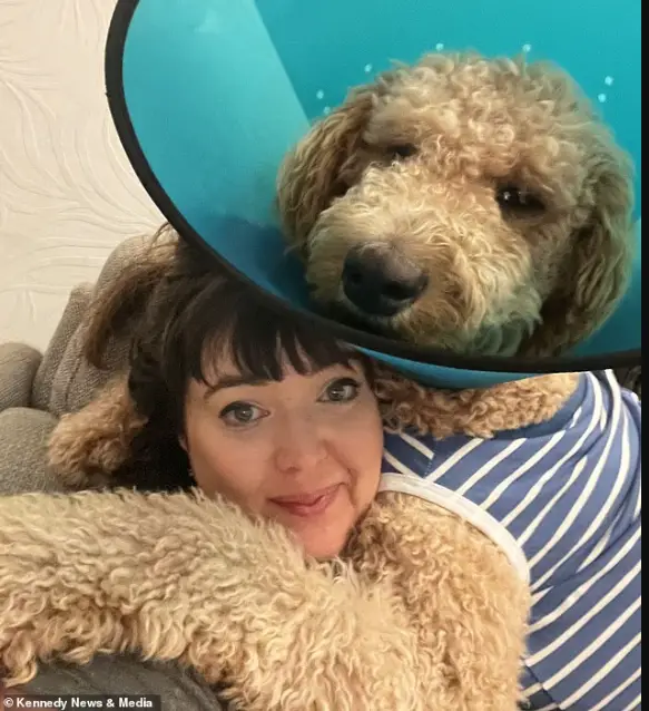 Casal Adota Filhote Pensando Ser um Cockapoo, Mas Descobre Que Era um Cão de 45 Kg Laura McFarlane (foto), de Pontypridd, no sul do País de Gales, disse: "Disseram-nos que ele era um cockapoo. Esperávamos que ele crescesse até um máximo de 12 kg."