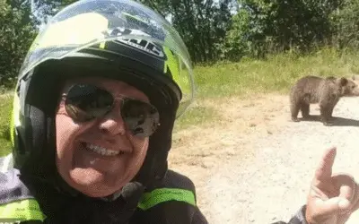 Turista italiano é morto por urso após tirar selfie com filhote na Romênia