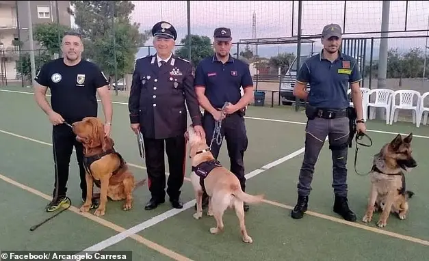 Cão farejador herói é morto com salsichas recheadas de pregos na Itália Cão farejador herói é morto com salsichas recheadas de pregos na Itália