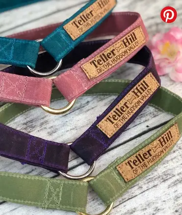 Consciência na Ponta da Guia: Produtos Eco-Friendly e o Descarte Correto de Resíduos Pet Ganham Destaque