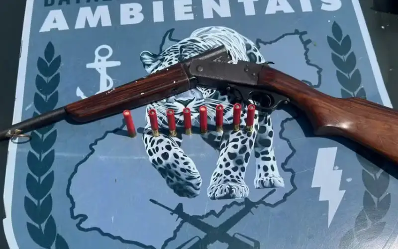 O Preço da Crueldade: Como a Denúncia Anônima Desvendou o Esquema dos Maiores Caçadores de Onças-Pintadas do Brasil O Preço da Crueldade: Como a Denúncia Anônima Desvendou o Esquema dos Maiores Caçadores de Onças-Pintadas do Brasil