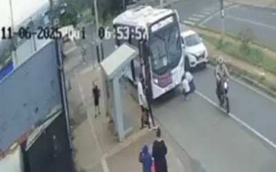 Cachorro é atropelado duas vezes pelo mesmo motorista de ônibus e morre