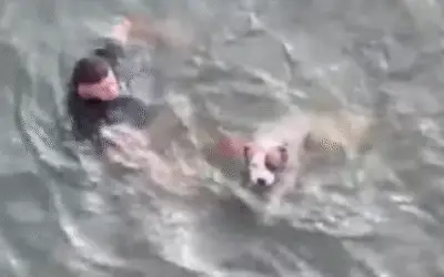 Policial Desafia a Correnteza para Salvar uma Vida Invisível