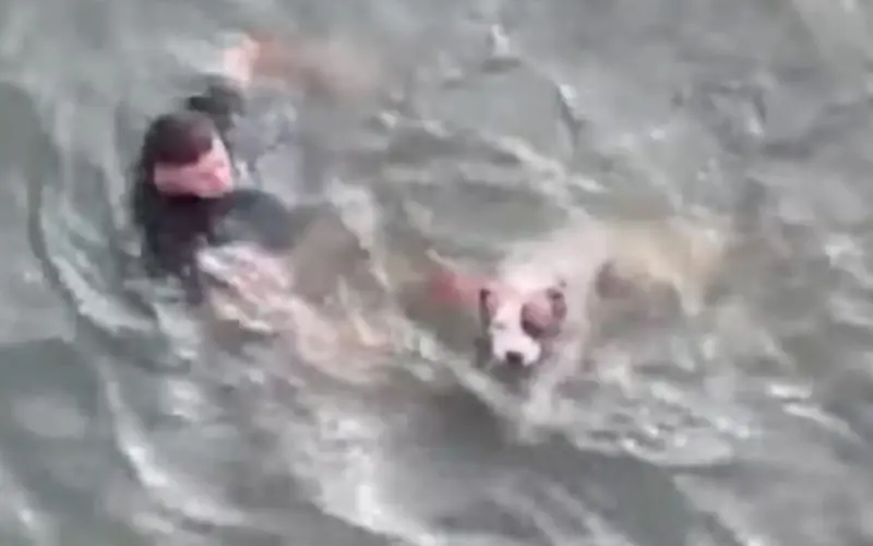 Policial Desafia a Correnteza para Salvar uma Vida Invisível Policial Desafia a Correnteza para Salvar uma Vida Invisível