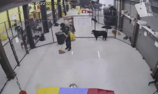 O Último Brinquedo de Mitch: Como a Crueldade em Uma Creche Destruiu a Confiança de Uma Cidade