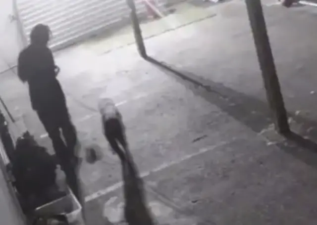 O Último Brinquedo de Mitch: Como a Crueldade em Uma Creche Destruiu a Confiança de Uma Cidade