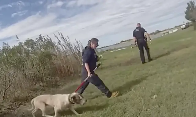 Policial Desafia a Correnteza para Salvar uma Vida Invisível Policial Desafia a Correnteza para Salvar uma Vida Invisível