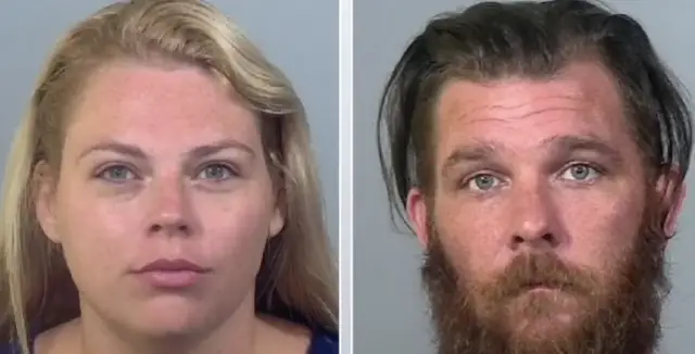 Do Abandono ao Afeto: A Transformação Emocional dos Cães Que Só Conheciam a Crueldade Do Abandono ao Afeto: A Transformação Emocional dos Cães Que Só Conheciam a Crueldade