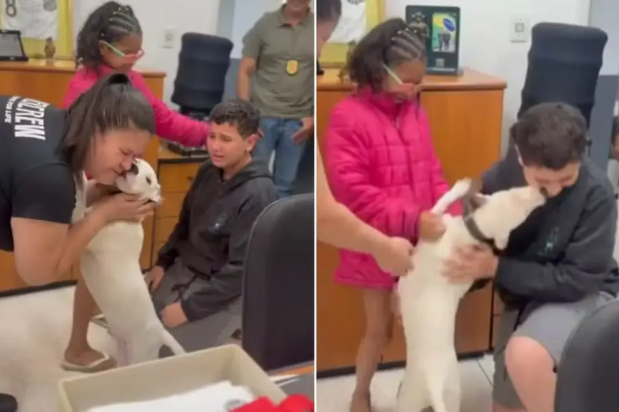 Momentos emocionantes do reencontro do cachorro desaparecido em Santos Foto: Polícia Civil/Divulgação
