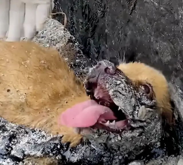 Presos no Poço de Piche, Libertos Pela Mão Que Acolhe Presos no Poço de Piche, Libertos Pela Mão Que Acolhe