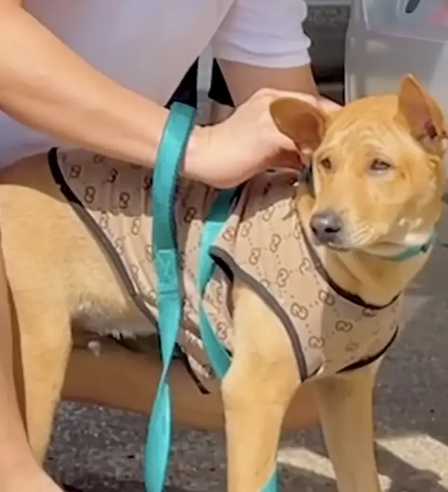 Presos no Poço de Piche, Libertos Pela Mão Que Acolhe Presos no Poço de Piche, Libertos Pela Mão Que Acolhe