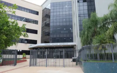 Família É Indenizada Após Hotel Para Pets Perder Cachorra Querida