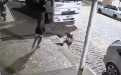 Jovem é Investigado por Maus-Tratos Após Agredir Cachorro com Pedrada em Tombos (MG)