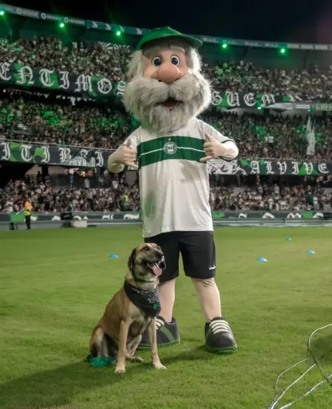 Do abandono ao estrelato: a trajetória inspiradora do Mascote Caramelo do Coritiba