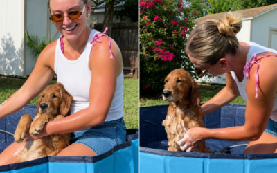 Filhote de Golden Retriever encanta a internet ao relaxar durante o banho